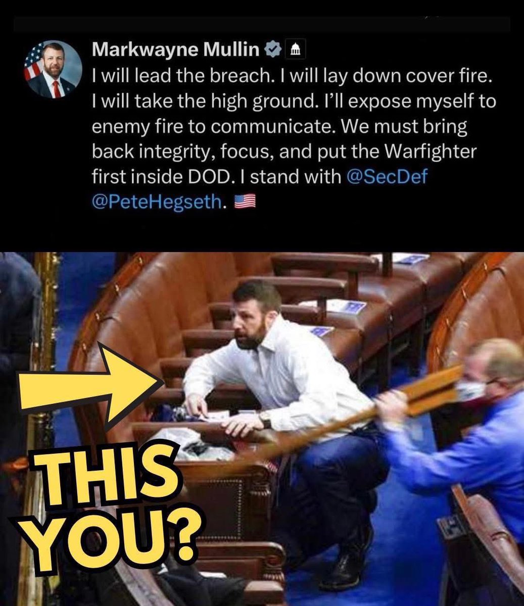 💙🫧🐾deb🐾🫧💙 tweet media