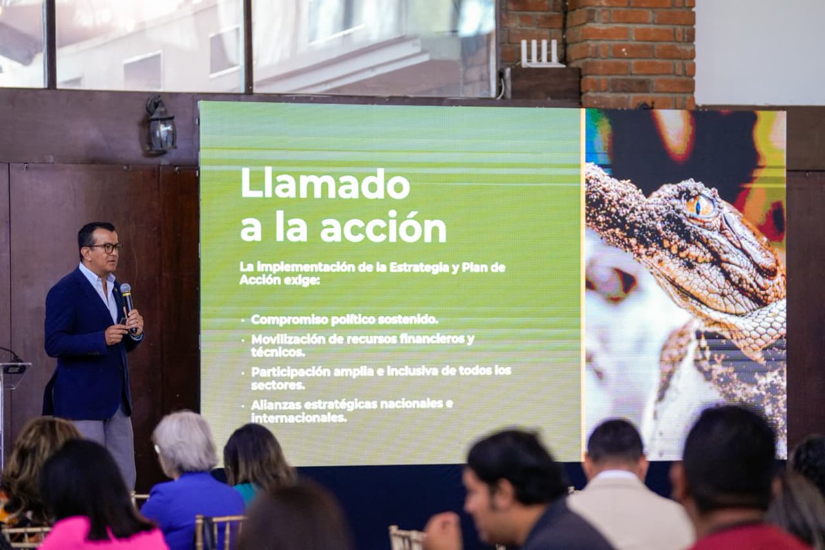 Fernando López 🇸🇻 tweet media