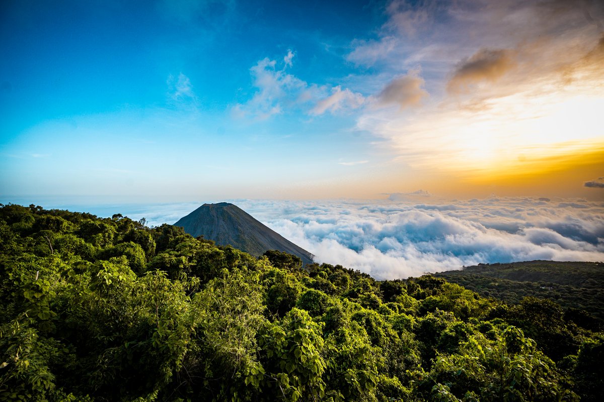 Fernando López 🇸🇻 tweet media