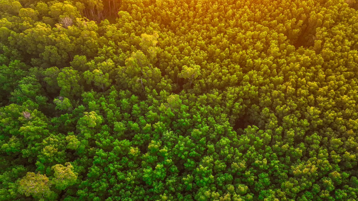 Fernando López 🇸🇻 tweet media