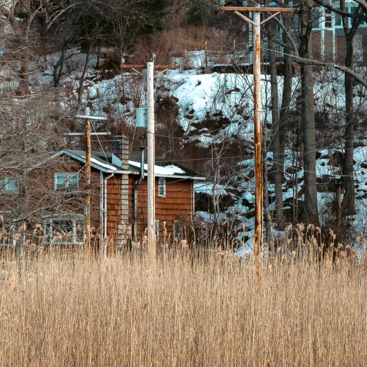 Whittington™🤗 tweet media