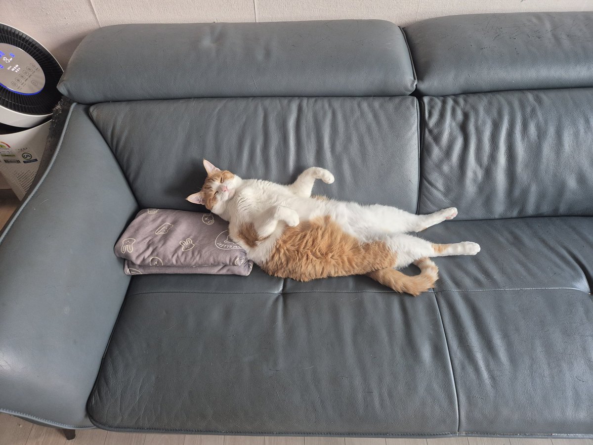 느고/NK | PROPIC tweet media