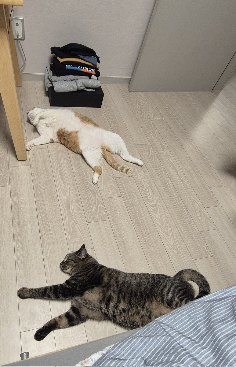 느고/NK | PROPIC tweet media