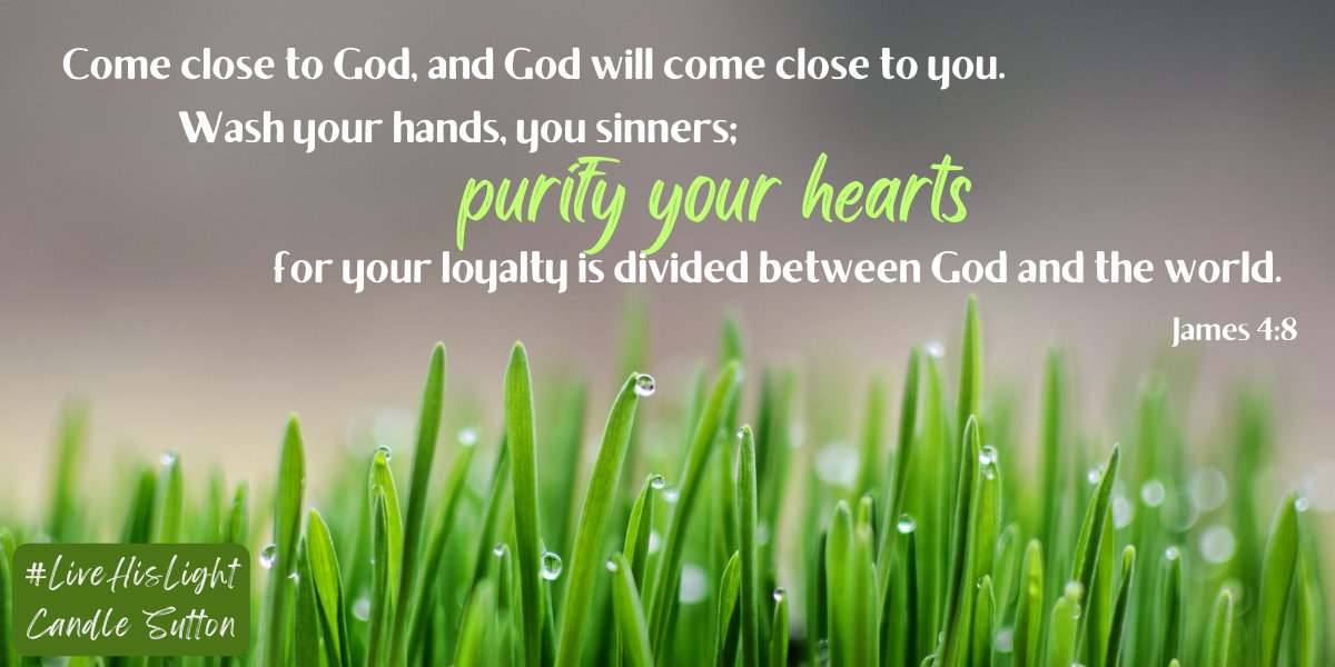 Candle Sutton tweet media