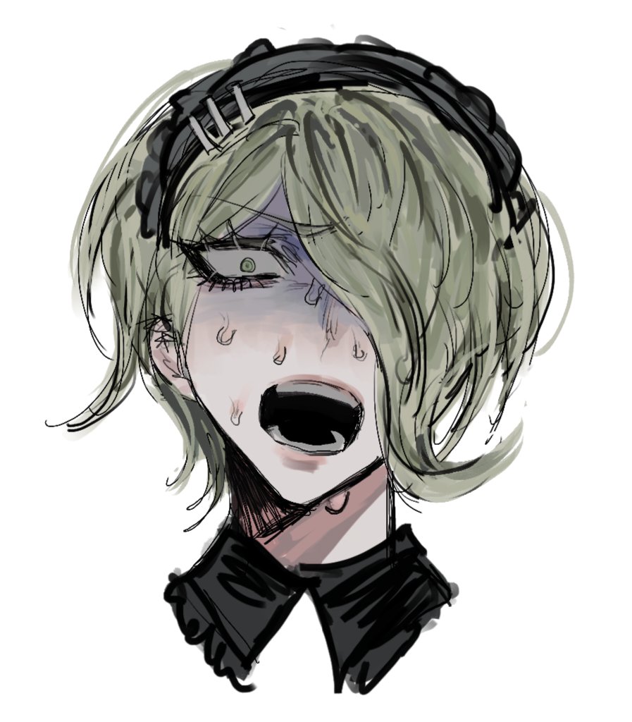 カモ tweet media
