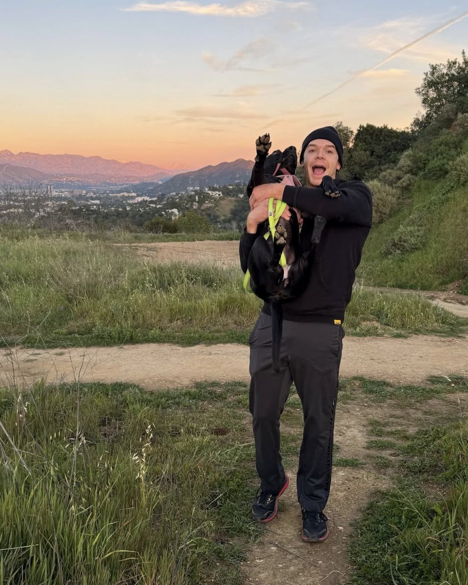 zoe ✩ met cam! tweet media