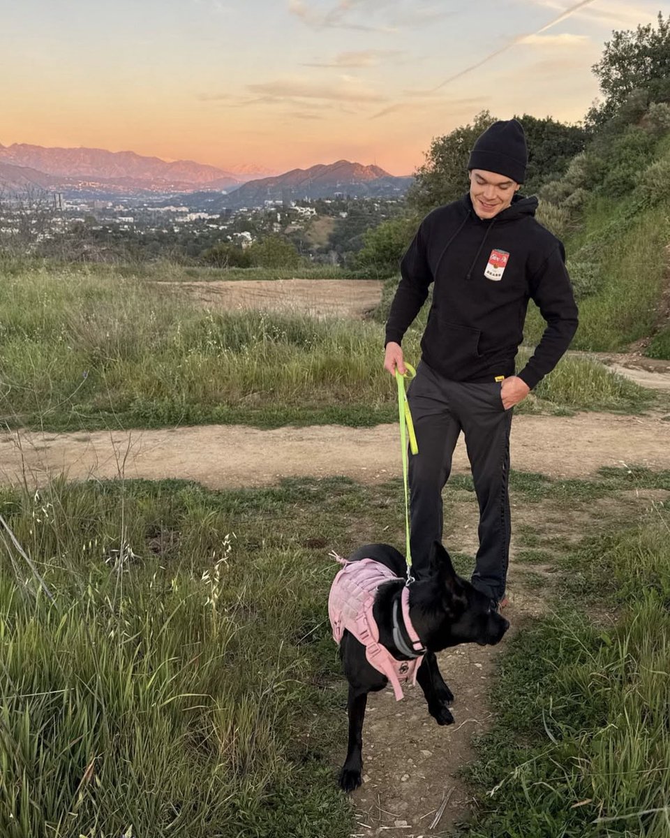 zoe ✩ met cam! tweet media