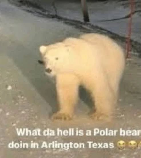 Barstool UTSA tweet media