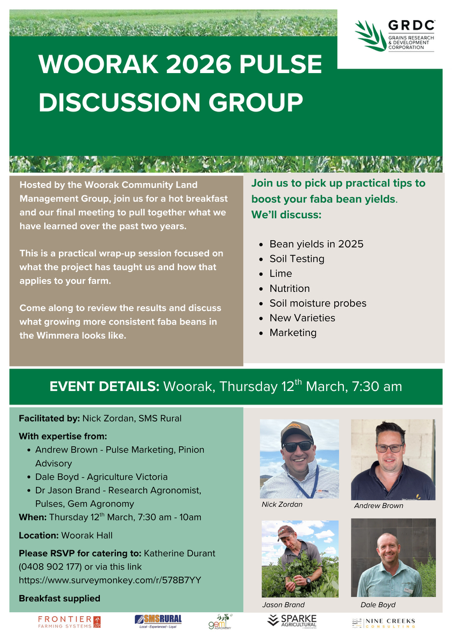 SouthernPulse tweet media