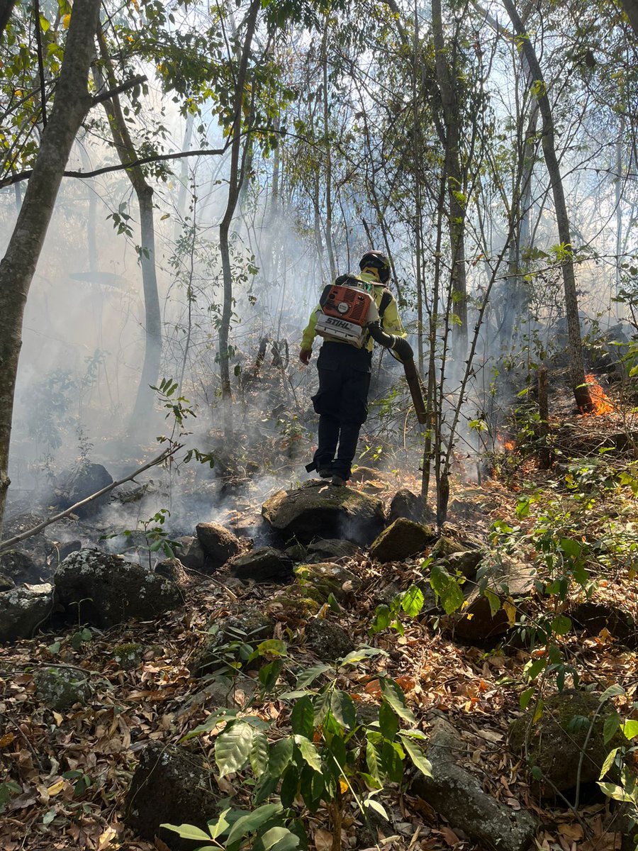 ConredGuatemala's tweet image. #SantaRosa La Brigada de Respuesta Inmediata (BRI) y comunitarios como parte del Sistema CONRED, controlaron a un 80% y liquidaron a un 60% el incendio registrado en finca Calderas, Cuilapa, Santa Rosa.

Fotografías: Sistema CONRED.