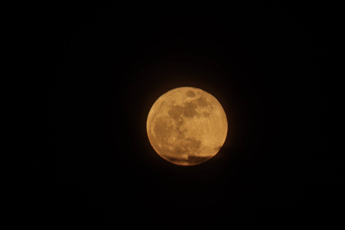 BKeough96's tweet photo. What a beautiful moon tonight! #moon
#clearnight #newfoundland https://t.co/5dh6IlJtei