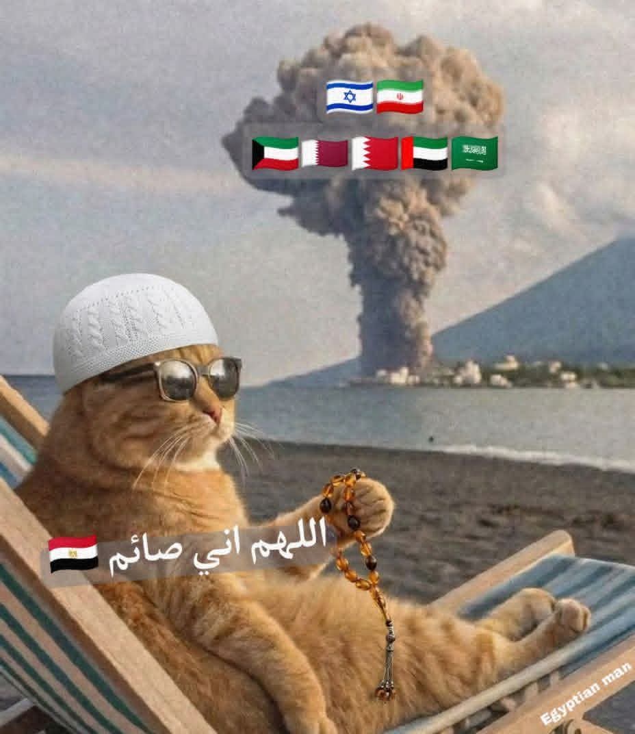 Arab Memes tweet media