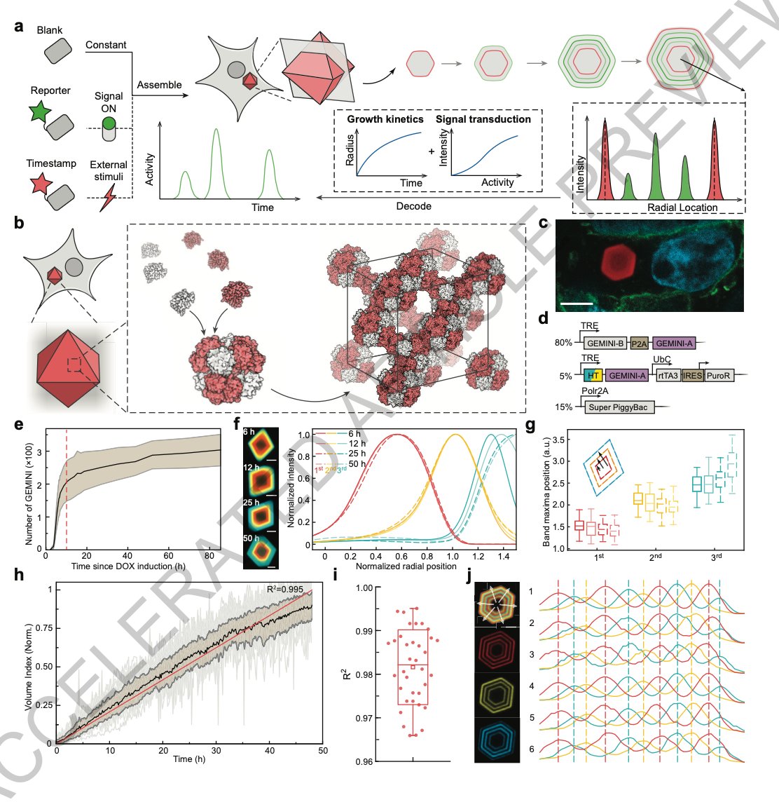 Olivier George tweet media