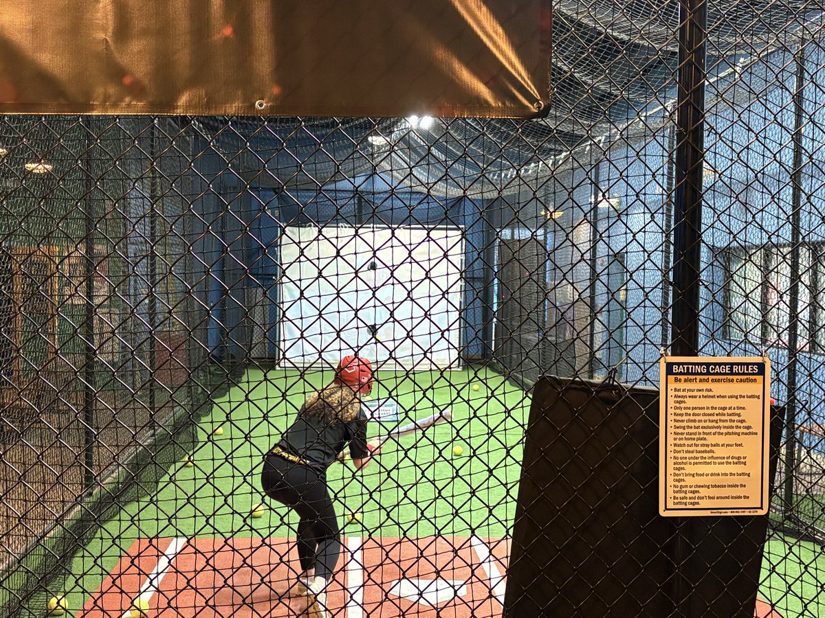 Dulaney HS Softball tweet media