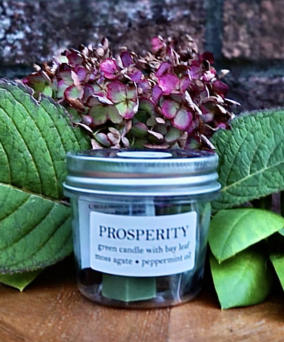 Erin is a witch 🧹🧙‍♀️🔮 tweet media