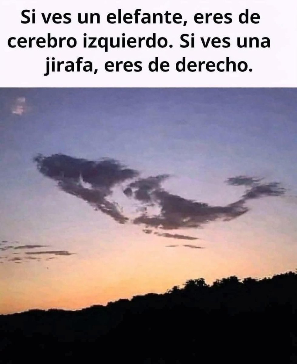 SolidKroket tweet media