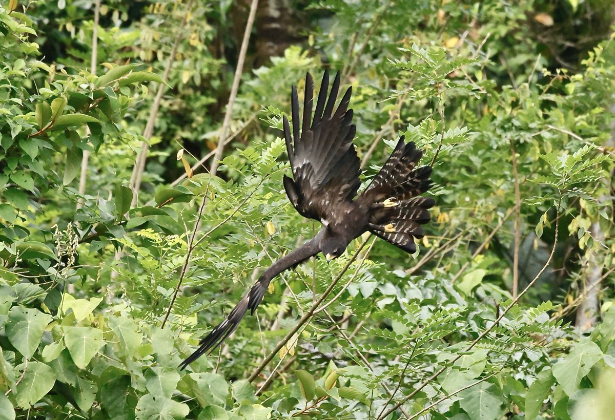 Richard Augarde tweet media