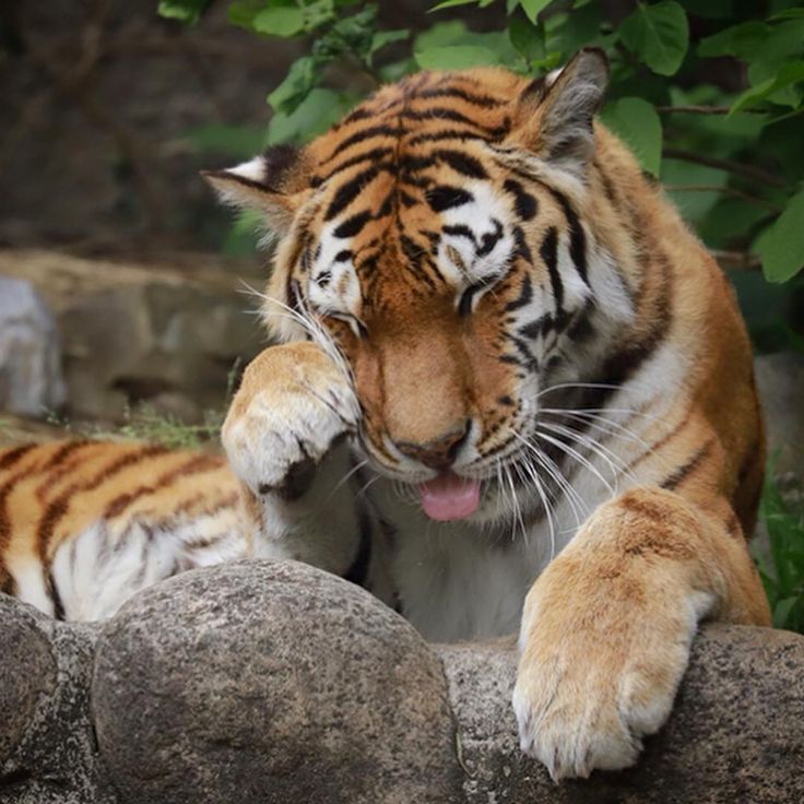 💛♡⡷⠂ʟɪɴ ʜᴜ⠐⢾♡💛 SLOW REPLIES tweet media