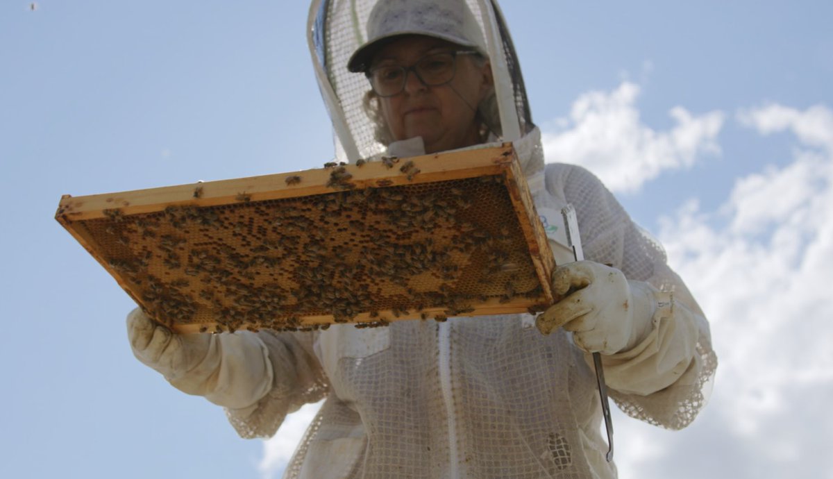 Discovery Silver (TSX:DSV) tweet media