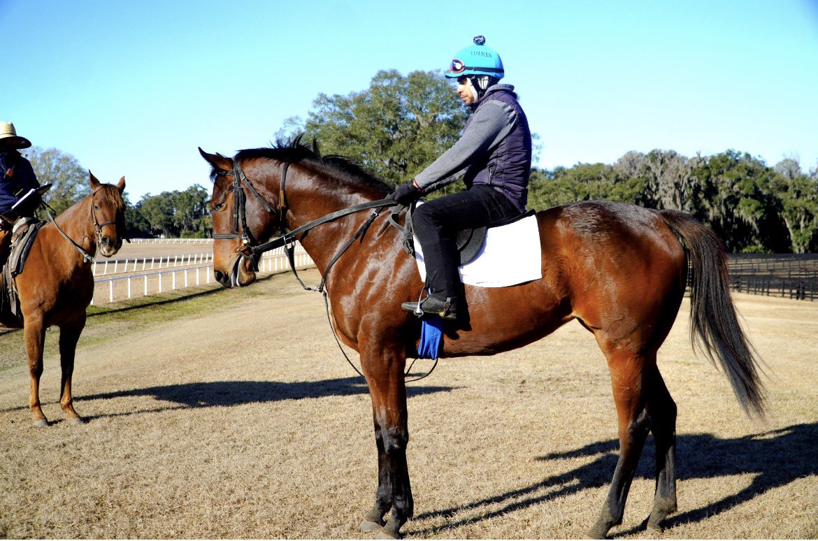 This massive filly by American Pharoah continues to shine in her early training. She is the first foal out of Manet, an unraced daughter of Medaglia d’Oro…her second dam is a G3-winning 1/2-sis to excellent sire Constitution. #2YOTuesday