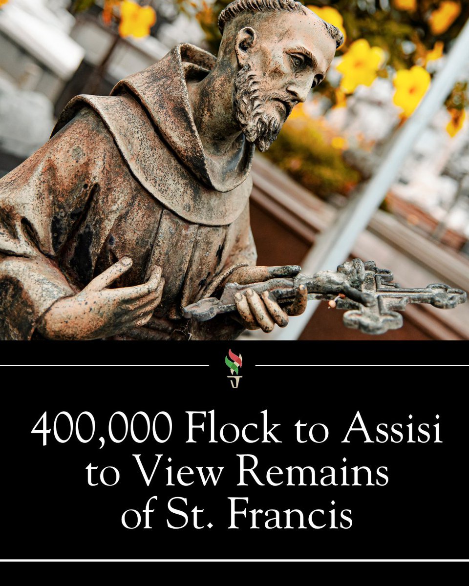 Italian Sons and Daughters of America tweet media