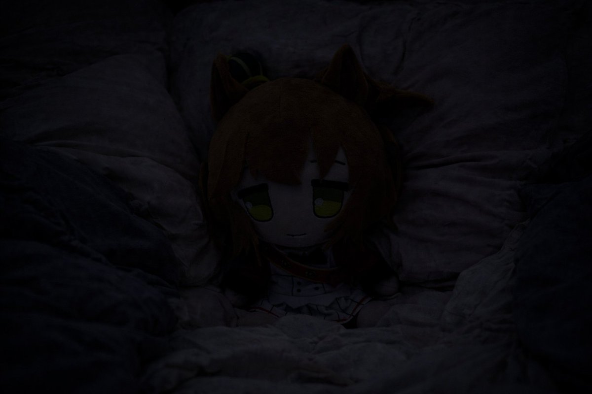 『𝐴𝘳𝑐𝘰 𝘥𝑒 𝑃𝘳𝑖𝘮𝑎𝘷𝑒𝘳𝑎』「1」