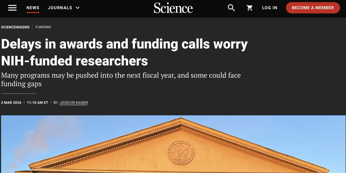 Denis Wirtz tweet media