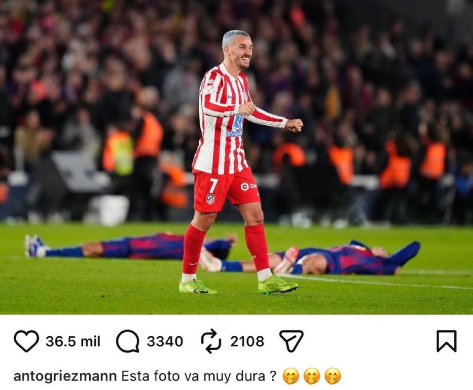 Araujismo tweet media