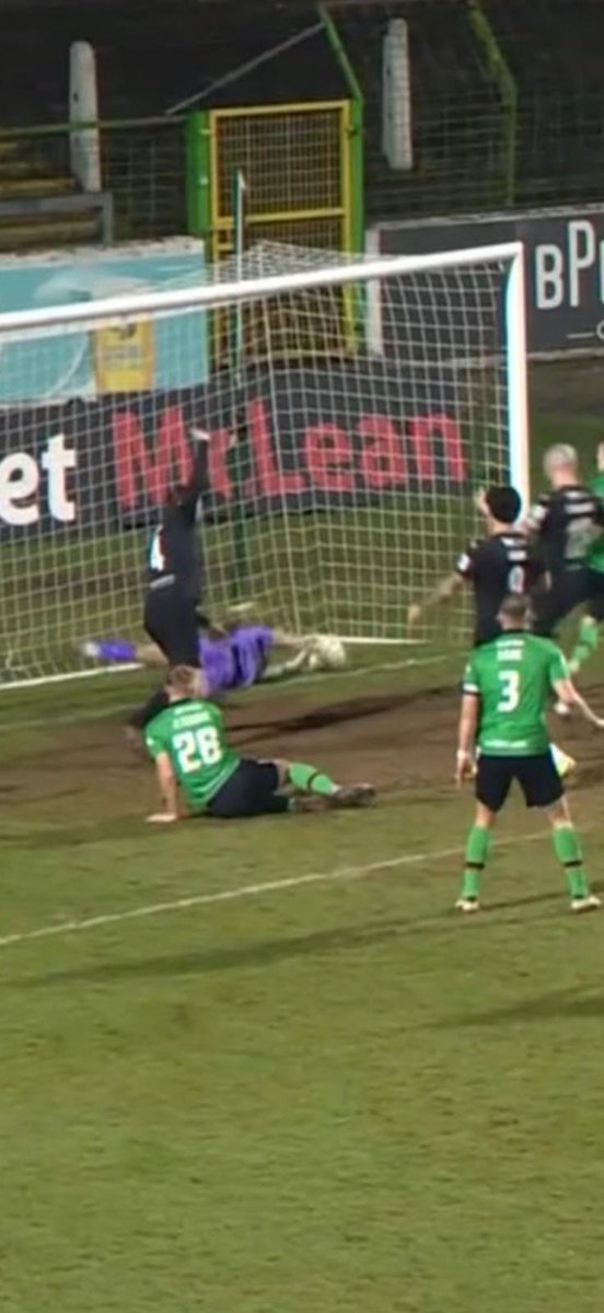 BertBloggs tweet media