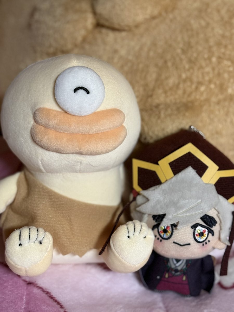 ポコ🪷🌈 tweet media