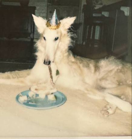 ✚ nico tweet media