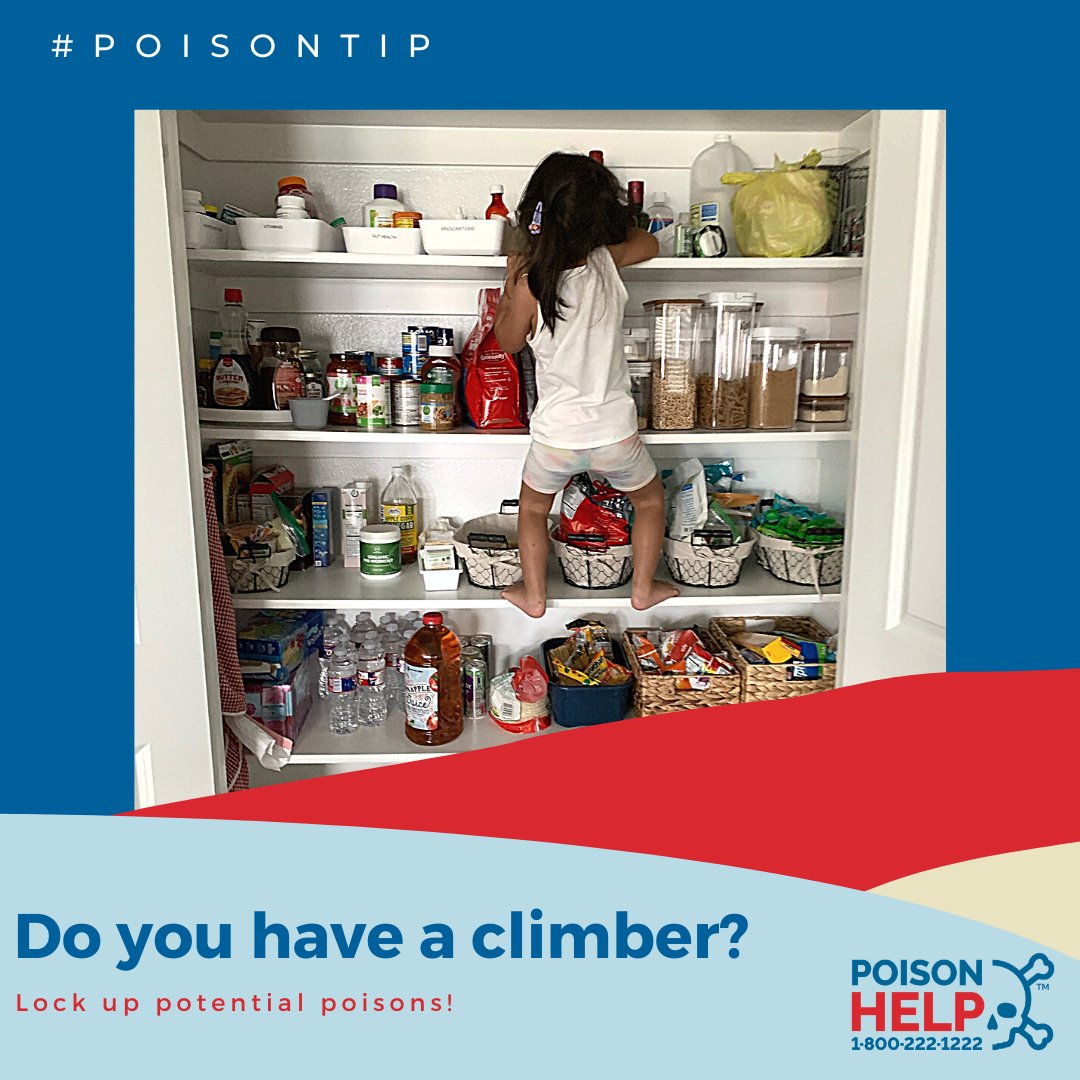 TexasPoisonControl tweet media