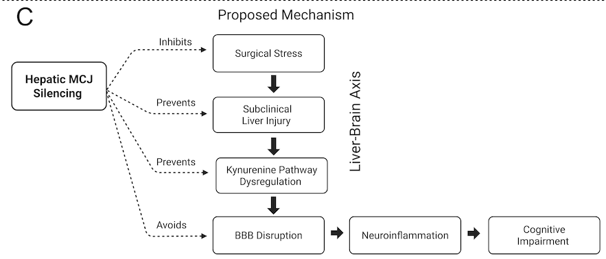 Kenneth Meza Monge, MD tweet media