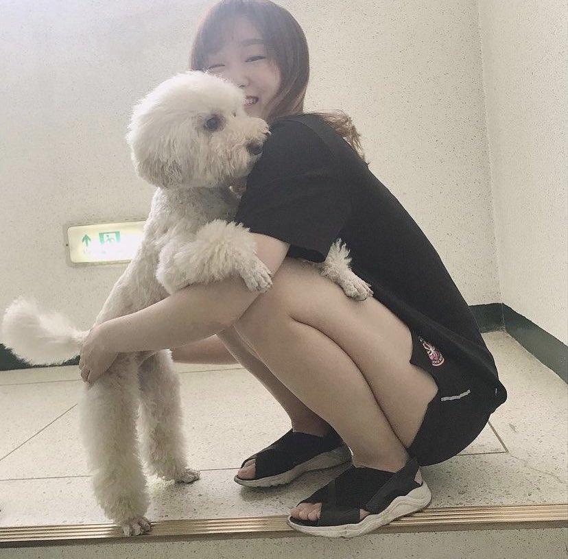 찬 (상태:본계복구완료) tweet media