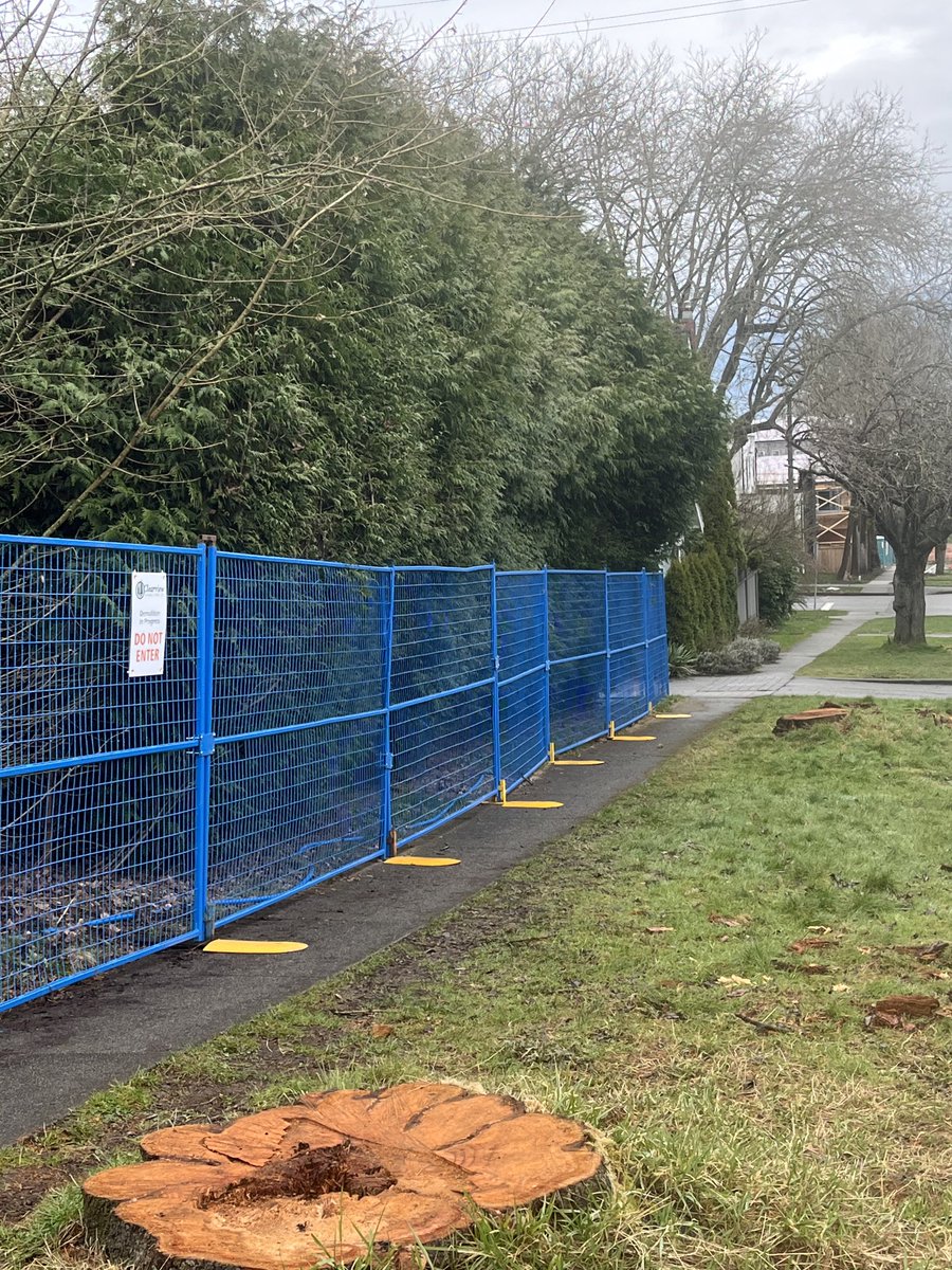 Tom Digby 狄弼 tweet media