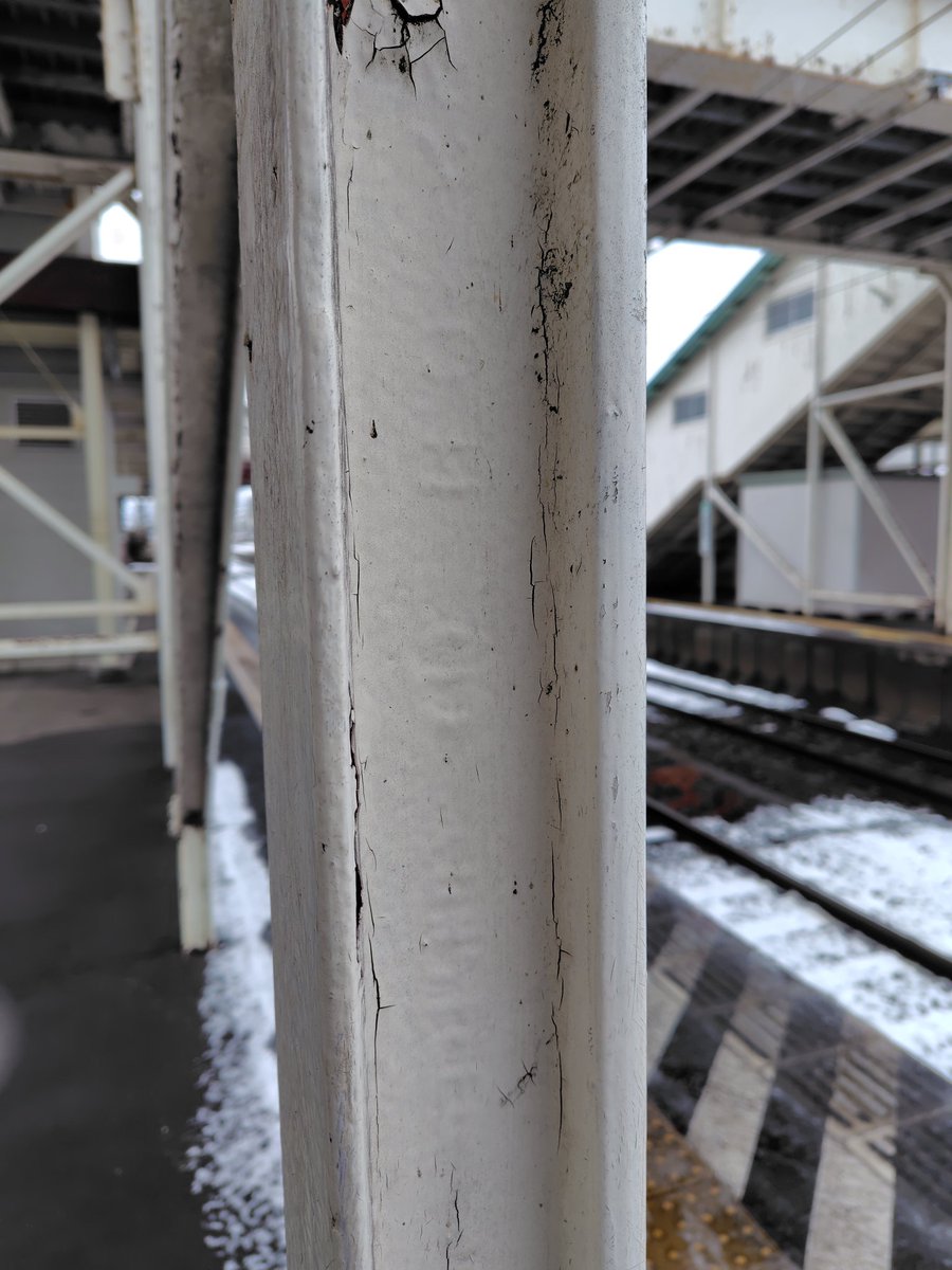 五十（すずがおか） tweet media