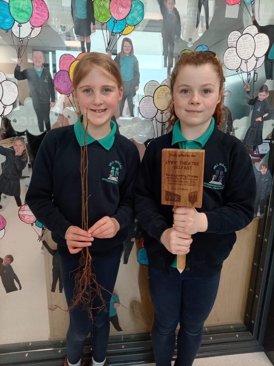 Mill Strand IPS tweet media