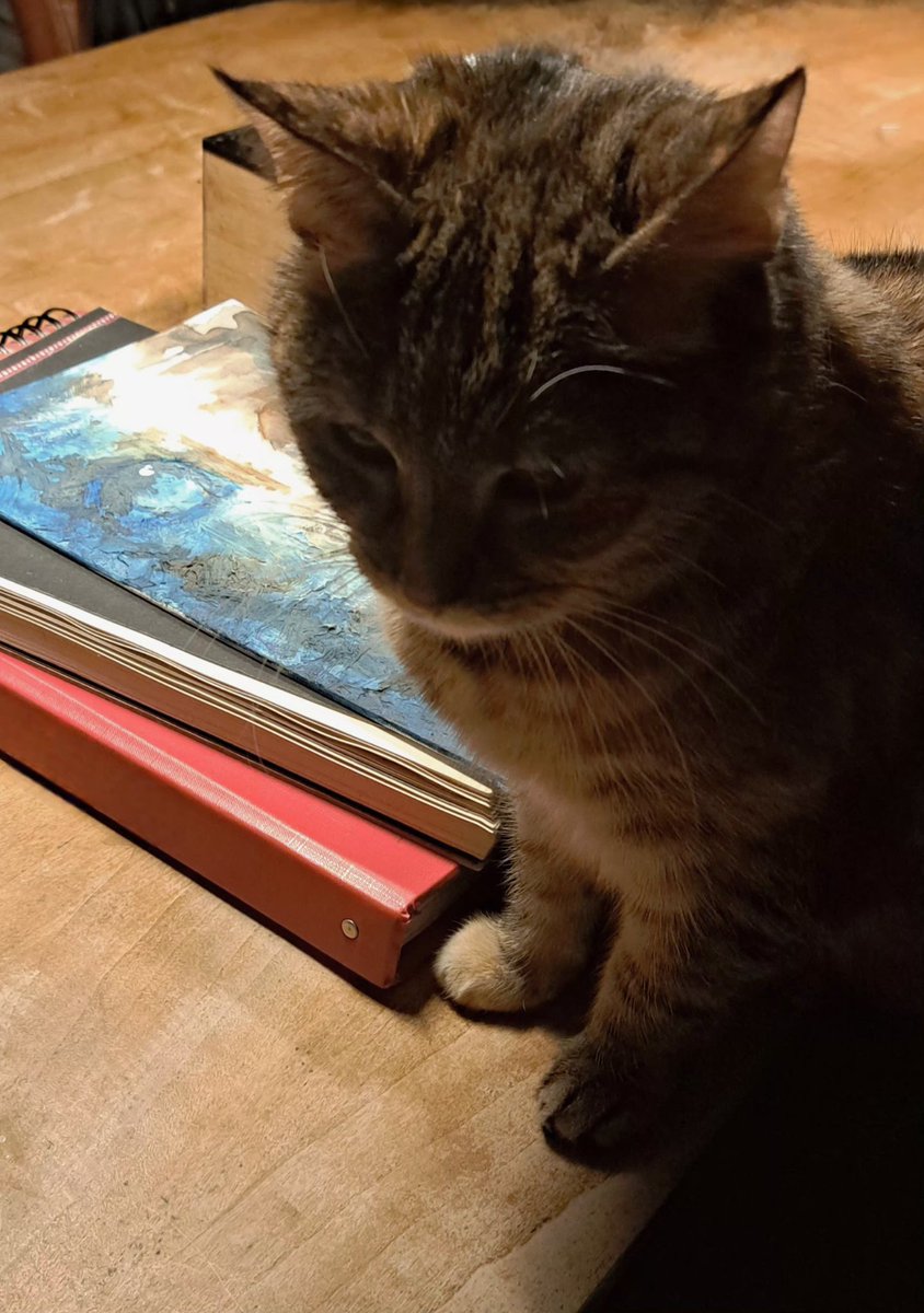 B59388731's tweet image. Coffee and turquoise sparked some creativity. Never too old to flirt with moonlight 🐈‍⬛ = 10/56

instagram.com/stories/x_bjsh…

#Creatureofhabit #paintinginprogress