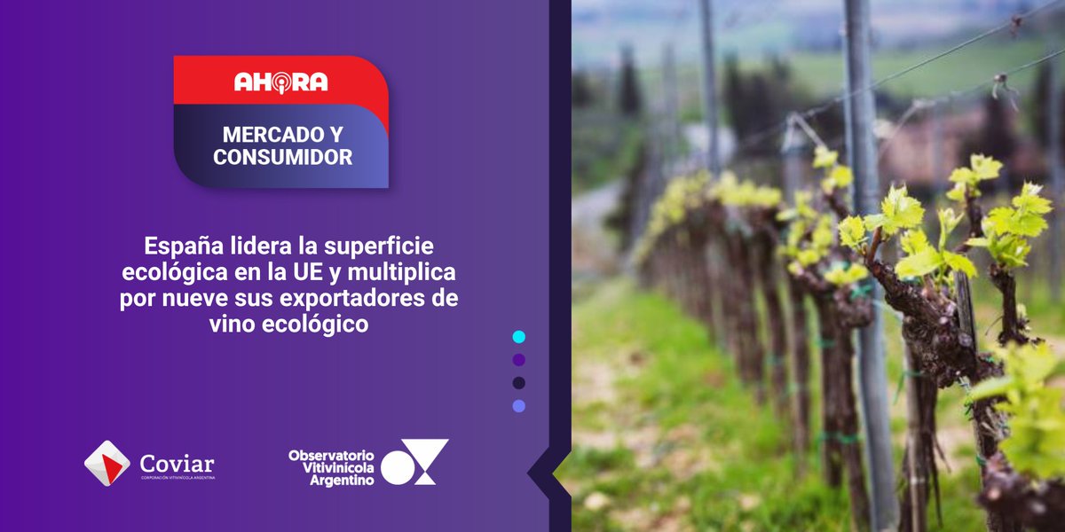 Observatorio Vitivinícola Argentino tweet media