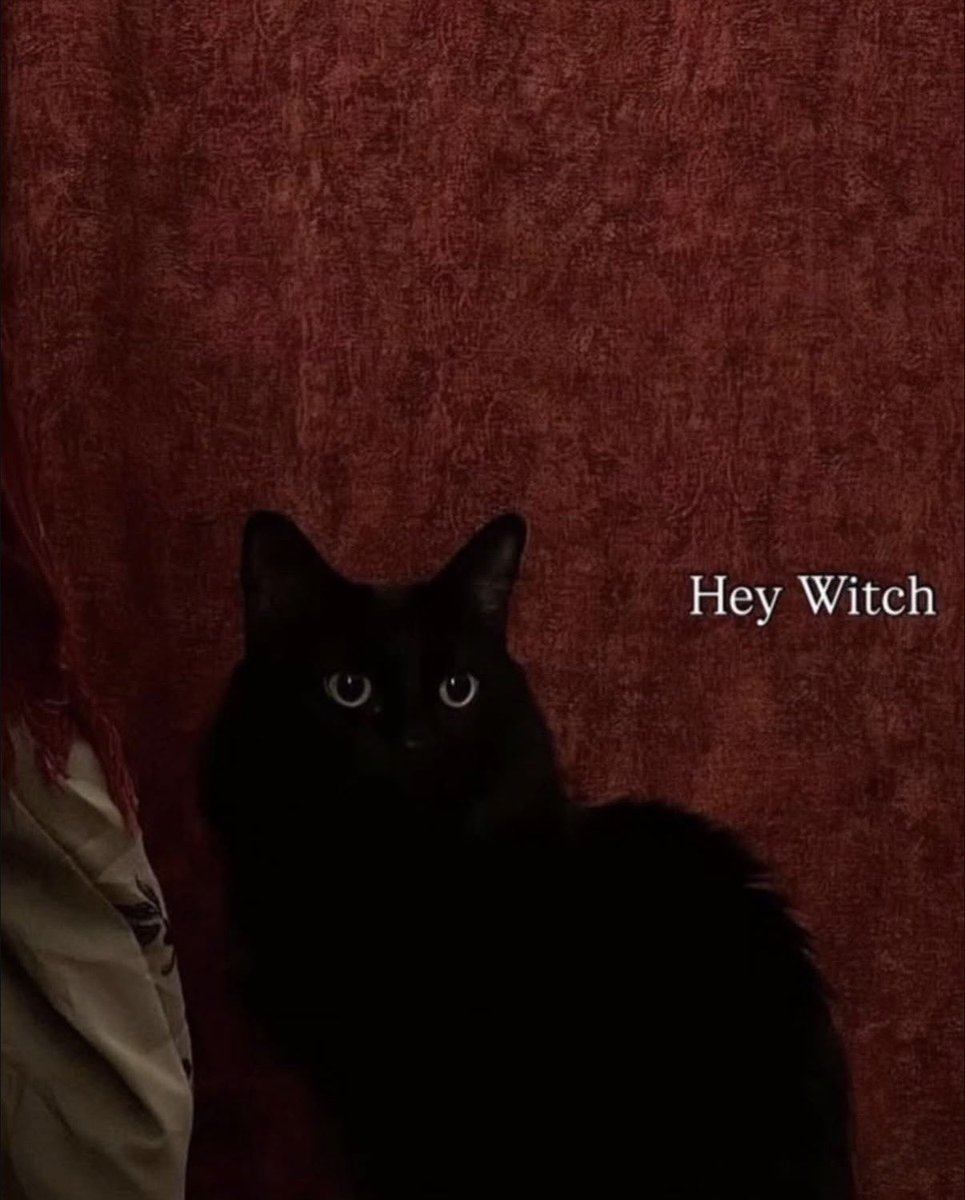 it’s 3:33 on 3/3 and it’s been 333 years since the salem witch trials