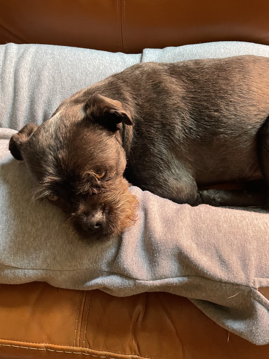 Ivette Arellano 🧘🏼♀️ tweet media