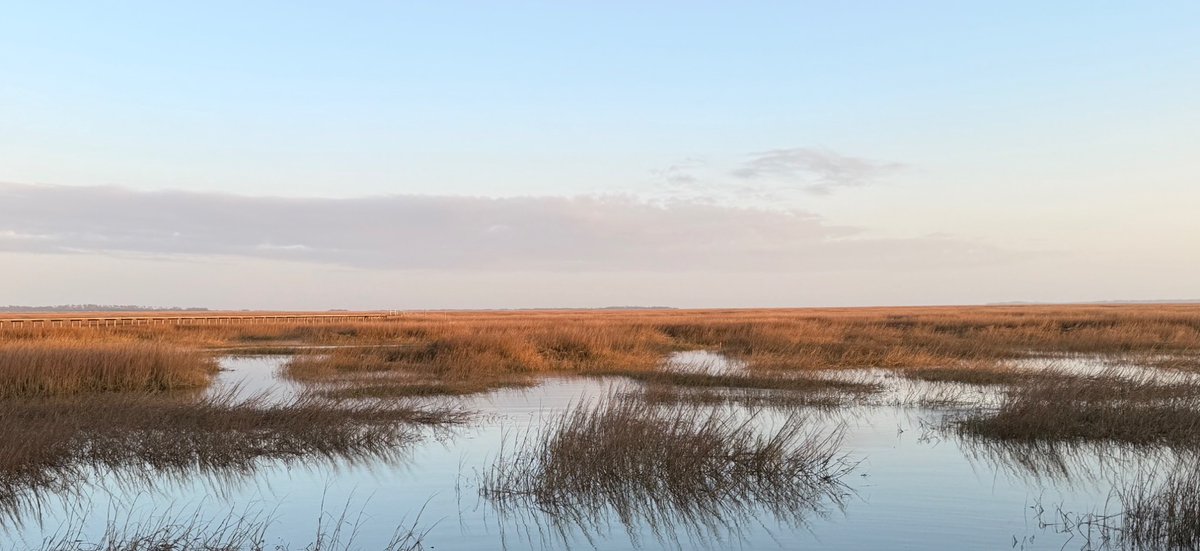 asimo3089 tweet media