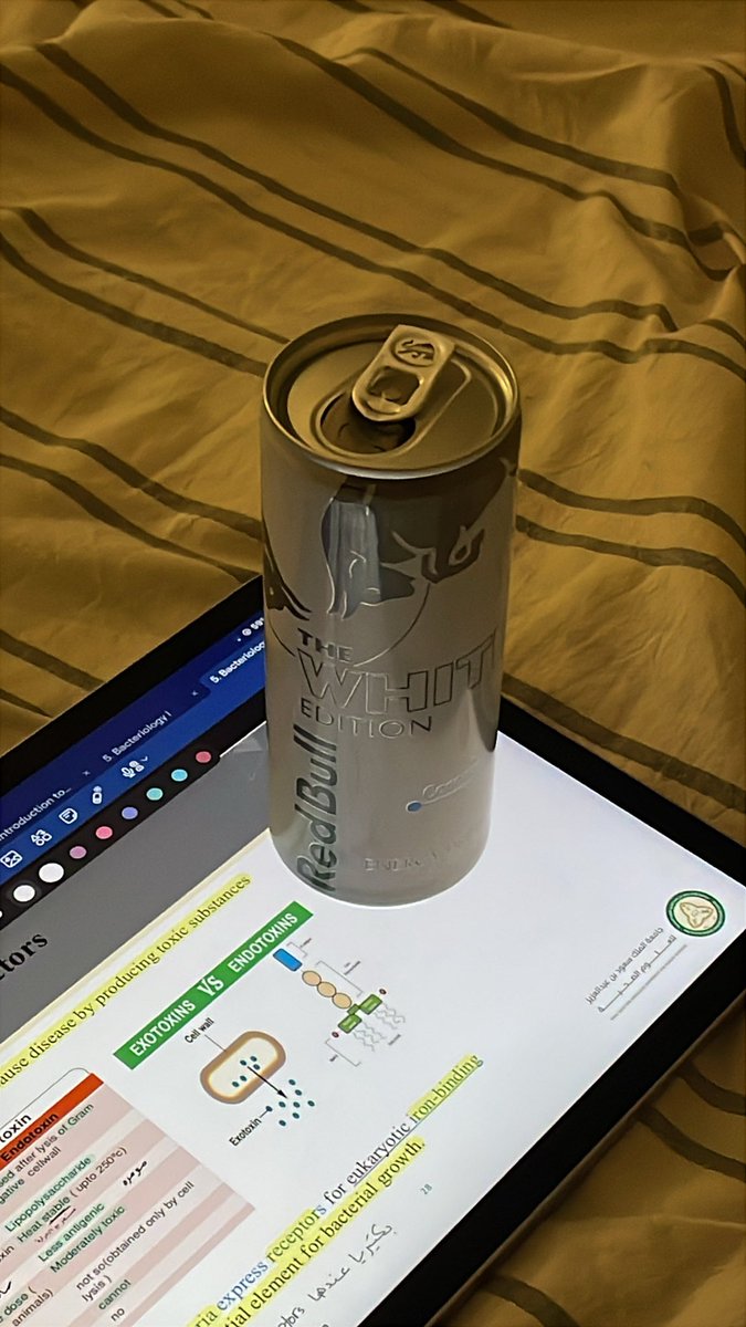 Fatimah ⭐️ tweet media