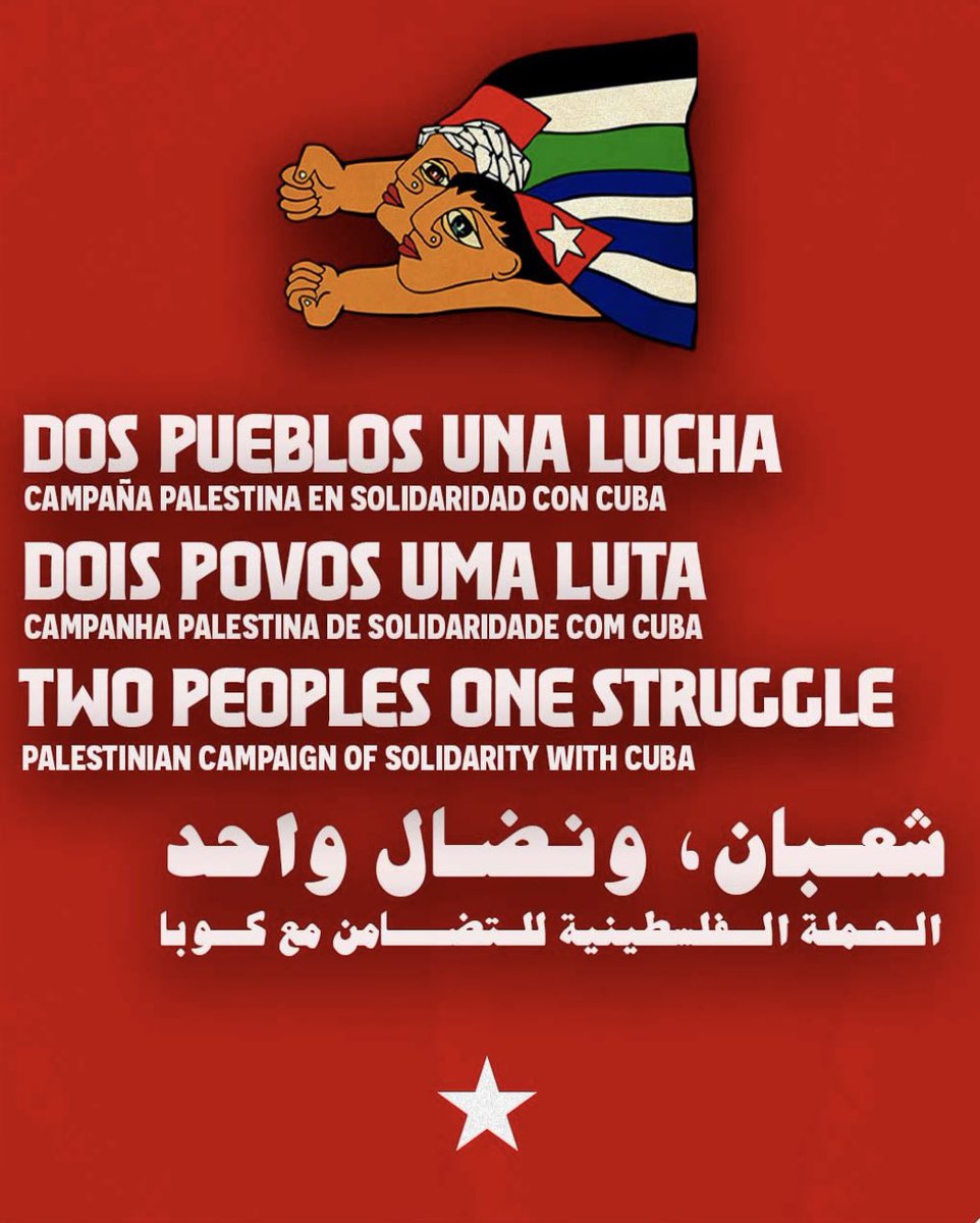 Stop The Wall tweet media