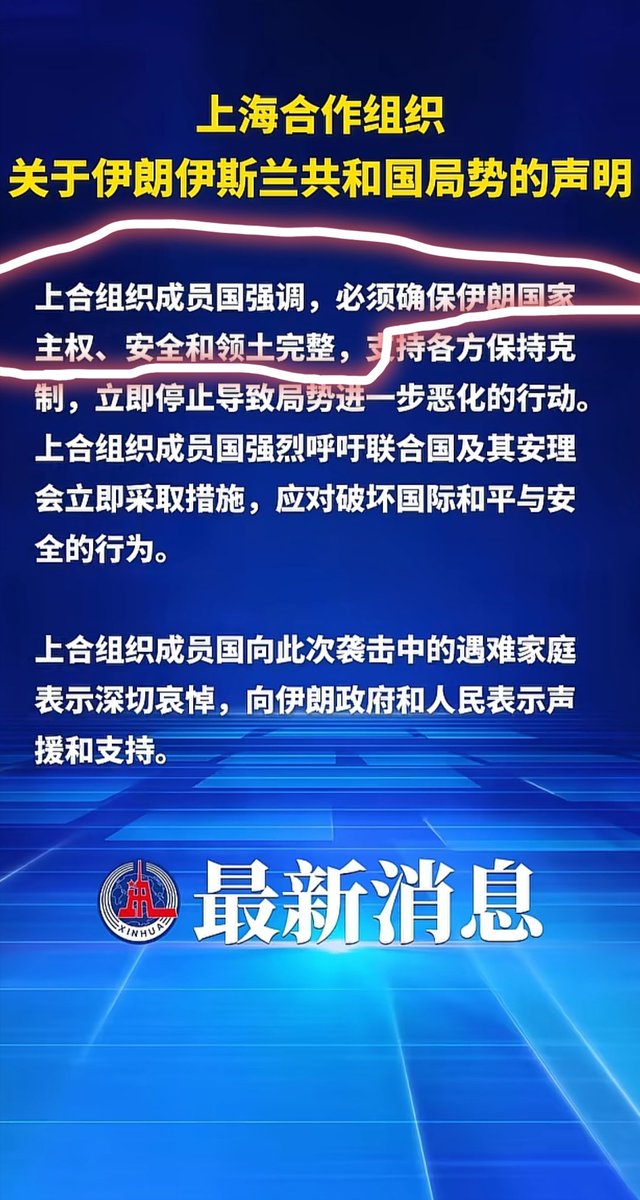 冯宝宝 tweet media