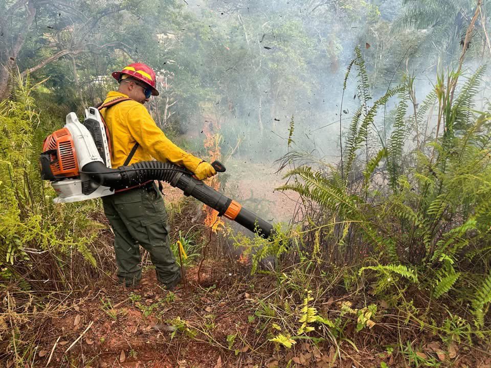 Bomberos_de_PR's tweet photo. Bomberos forestales de Lajas trabajan en la extinción del fuego reportado en carr.108 Bo. Leguísamo en Mayagüez.  Bomberos municipales también en la escena. https://t.co/d7g7R6gjVU