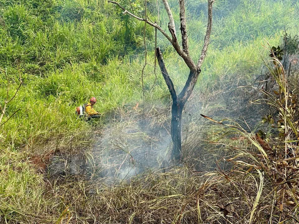 Bomberos_de_PR's tweet photo. Bomberos forestales de Lajas trabajan en la extinción del fuego reportado en carr.108 Bo. Leguísamo en Mayagüez.  Bomberos municipales también en la escena. https://t.co/d7g7R6gjVU