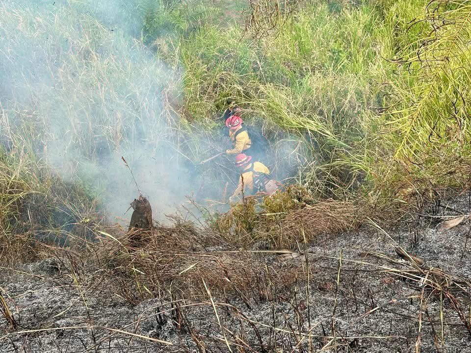 Bomberos forestales de Lajas trabajan en la extinción del fuego reportado en carr.108 Bo. Leguísamo en Mayagüez.  Bomberos municipales también en la escena.