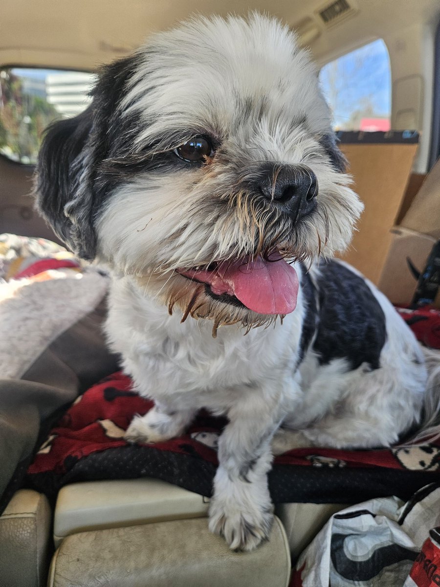 another stupid tuesday again 👅👅👅👅 #TOT #TongueOutTuesday