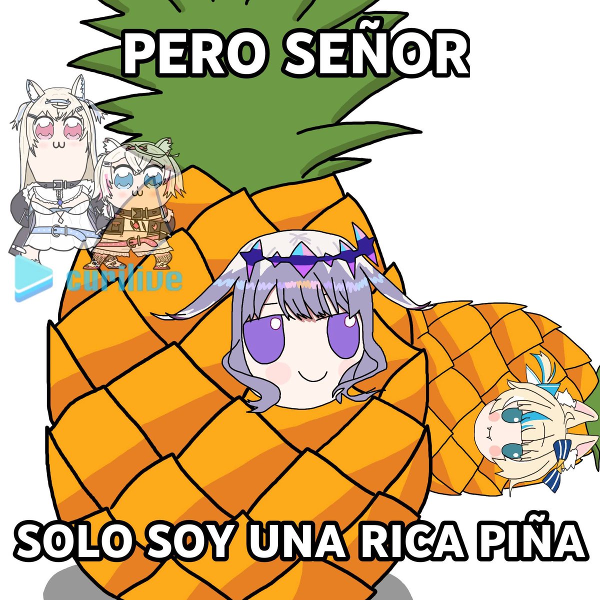 CuriLive: Oficial tweet media